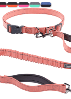 a hands free dog leash in pink. 