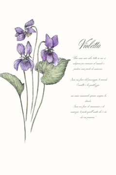 carta oracolo di un fiore