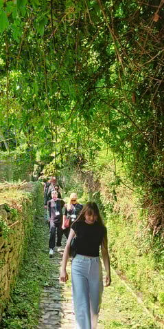 Guided herbal walk with medical herbalist Emmanouil Manos and erasmus students at Tsagkaraga