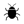 bed bug_24/03/25
