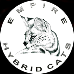 Empire Hybrid Cats logo