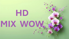 HD MIX WOW logo