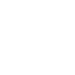 SB TRANSFER logo