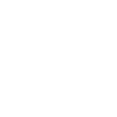 The Vizualz logo