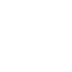 Luiz Henrique Gonçalves logo