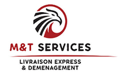 MT SERVICES logo