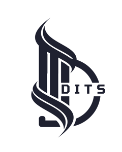 DITS - Detroja Infotech Solution.pvt.ltd logo