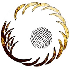 Kichi Sushi logo