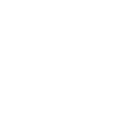 Life Outside logo