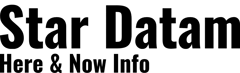 Star Datam logo