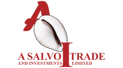 A SALVO TRADE AND INVESTMENT LIMITED logo