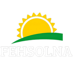 Fehsolna logo
