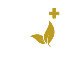 Carvalho Mota Consultoria Integrada logo