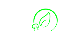 BDS logo