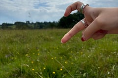 field in brighton, england