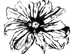 Ilustração de uma flor com doze pétalas alongadas e finas com um miolo no meio.