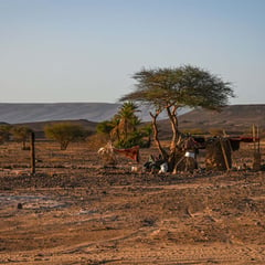 5-Day Desert Trek: Walk with Nomads in the Moroccan desert