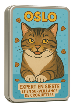 boite metallique Oslo personnalisée