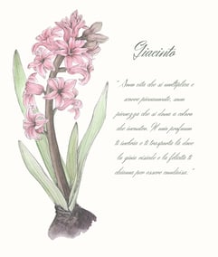carta oracolo di un fiore