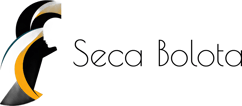 Seca Bolota logo