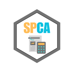 SPCA - Smart Processing & Consulting Associates logo