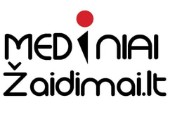 Medinių žaidimų nuoma logo