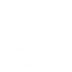 Taloanoa Mai logo