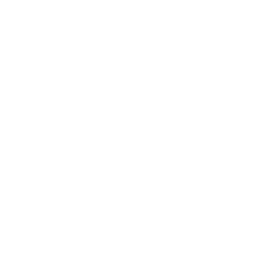 Reels Rise logo