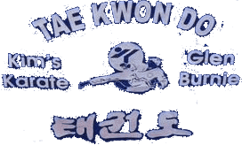 TAEKWONDO GLEN logo