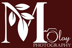 Photo-Jenic logo
