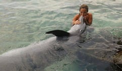 a woman in a bikini top is holding a dolphin