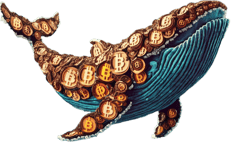 a whale and a whale are depicted in this image
