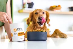 Fresh dog food