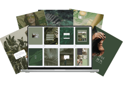 wellness super bundle