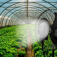 mist-fan-garden