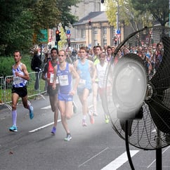 mist-fan-sports