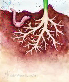 Illustrations from The Rose Without A Name by New Orleans artist Melissa Vandiver.