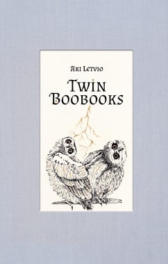 a book cover of two owls and a lightning bolt classic fairytale style