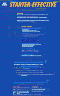 Front cover of Starter Effective Guideline on how to utilize digital platforms PDF
