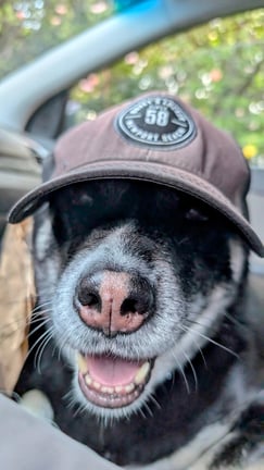 Ahsoka has her hat on ready for a grand adventure on our hike