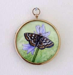 Miniature painting of butterfly by Mandy Garratt