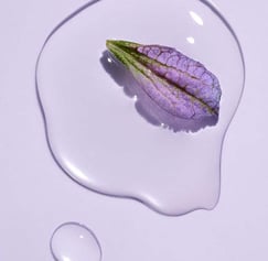 A close-up of a purple flower petal resting on a clear liquid, symbolizing the gentle and hydrating 