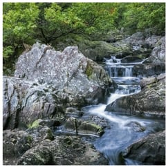 Snowdonia National Park landscape, Gwynedd, Wales, photograph by Philip Preston.