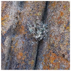 Alabama Hills landscape, Lone Pine, California, photograph by Philip Preston.