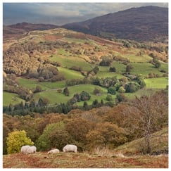 Snowdonia National Park landscape, Gwynedd, Wales, photograph by Philip Preston.