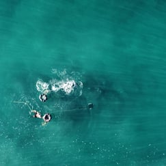 Playa Ventura, Mexico