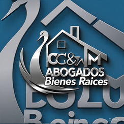BRIZZA BIENES RAICES ABOGADOS logo