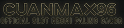 Cuanmax96 logo
