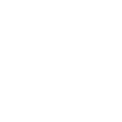 SUBVEINS logo