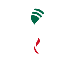 Valiente de México logo